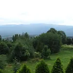 Padama